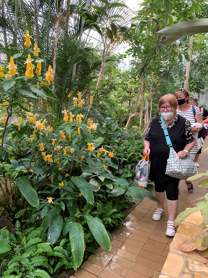 ženy v skleníku botanickej záhrady obklopené exotickými rastlinami