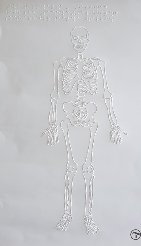 Kostra ľudského tela vytvorená pomocou brailových bodiek. 