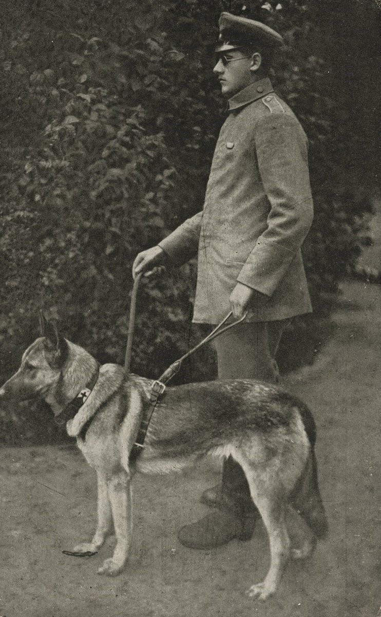 Na fotografii je muž v uniforme s tmavými okuliarmi, palicou v ruke a nemeckým ovčiakom na vôdzke. 