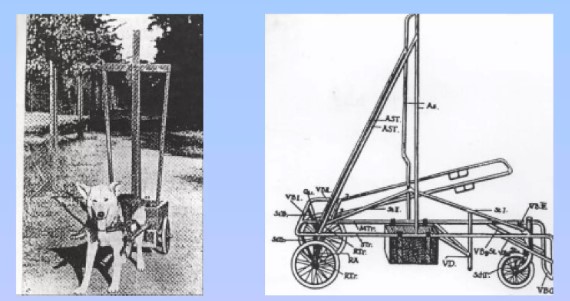 Obrázok ma dve časti, na prvej je pes "zapriahnutý" do vozíka. Na druhej časti je detail trojkolesového vozíka, ktorý pripomína siluetu dospelého človeka vytvorenú dreveným rámom vysokým zhruba ako človek. 