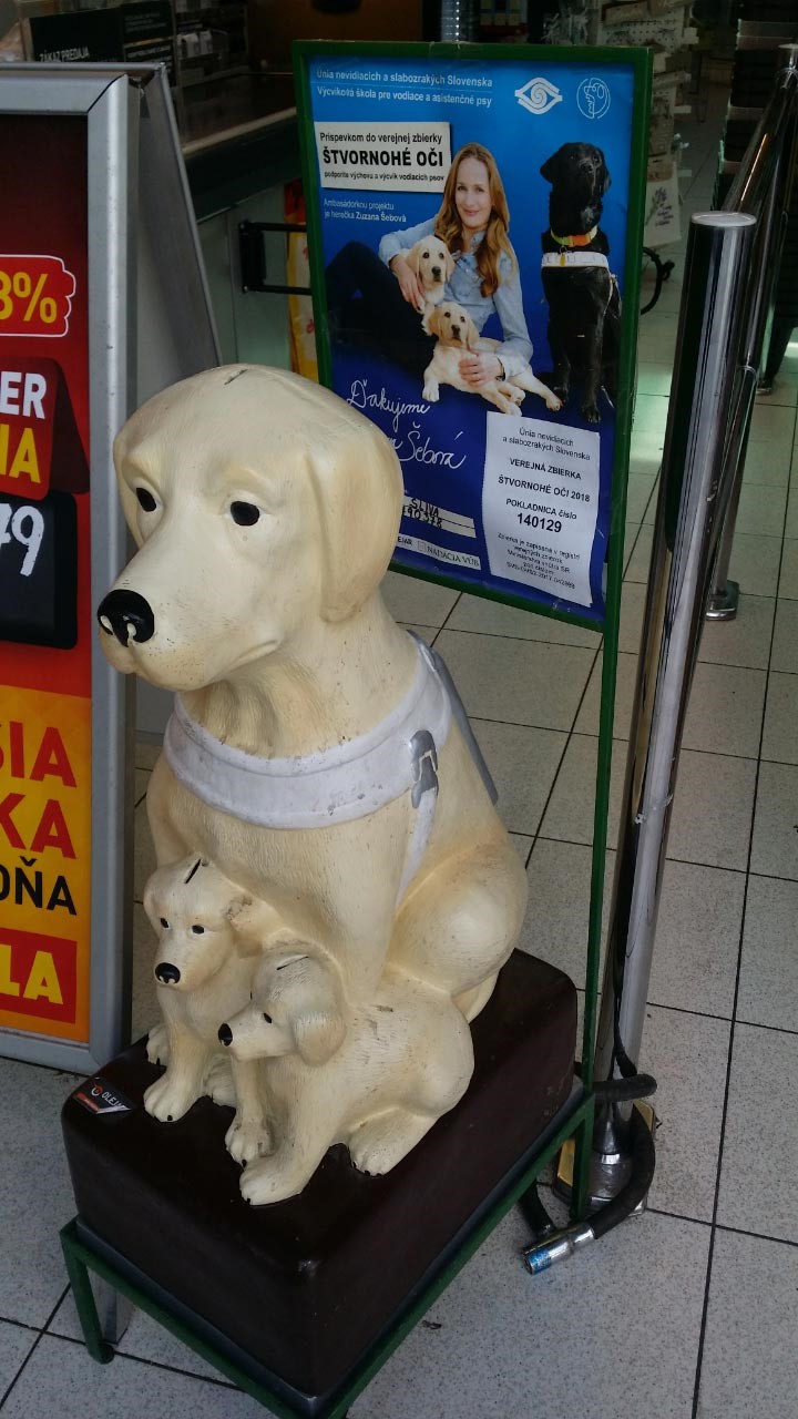 Pokladnica v tvare psa so šteniatkami pri vstupe do predajne Billa