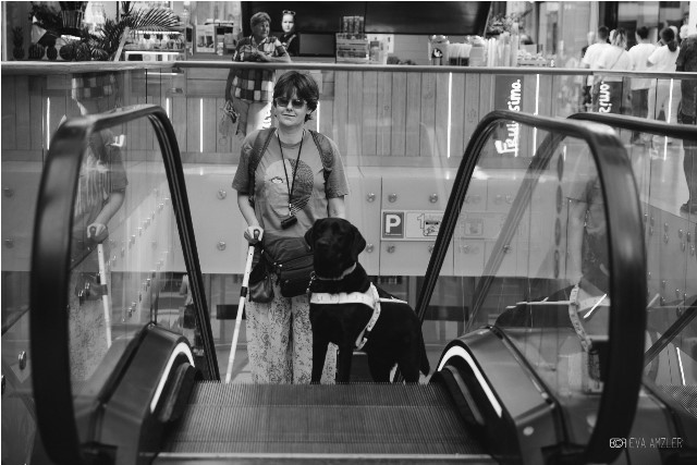 Nevidiaca účastníčka zbierky s vodiacim psom na pohyblivých schodoch
