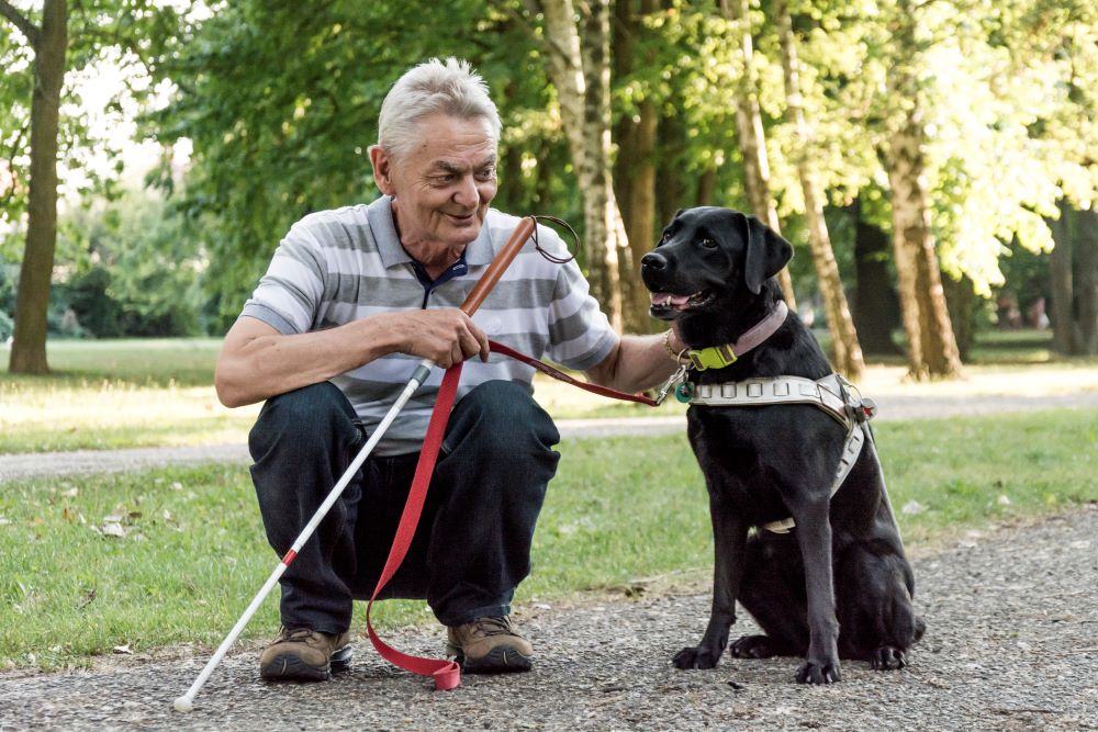 Usmiaty Imrich Bartalos čupí na zemi v parku s bielou palicou v ruke a vôdzkou v druhej. Vedľa neho sedí čierny vodiaci pes.  