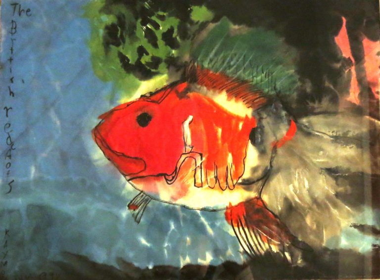 Na fotografii je obraz rybky v oranžovo-žlto-sivej farbe. Pozadie predstavujúce vodu je zeleno-modrosivé. V ľavej časti obrazu je čierny text písaný pod seba. Obraz pôsobí jasno a pestro. 