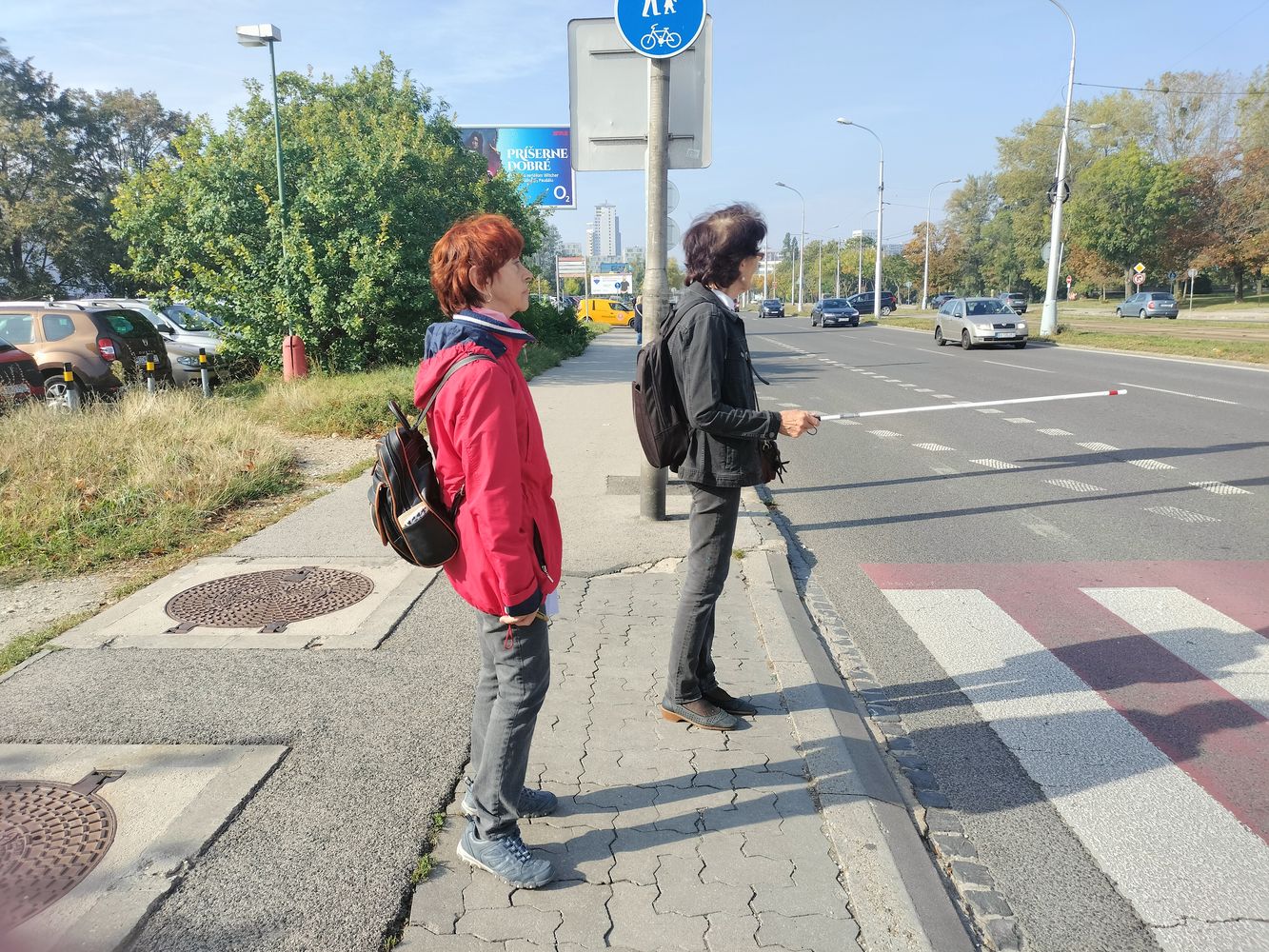 Na fotografii sú dve ženy: jedna bielou palicou ukazuje svoj úmysel prejsť cez cestu, druhá stojí s perom a papierom v ruke. 