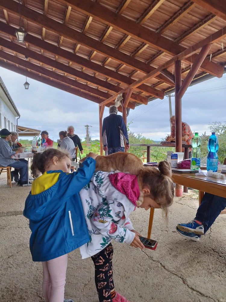 Začiatok alternatívneho popisu. Na krytej terase za drevenými stolmi na lavičkách sedia ľudia. V prednej časti sú dve malé dievčatká, jedno sa predkláňa a na chrbte mu leží mačka. Druhé dievčatko mačku hladí. Koniec alternatívneho popisu.